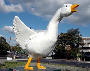goosefair-goose